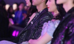 娱乐圈吃瓜刘亦菲微博,娱乐圈幕后故事大揭秘